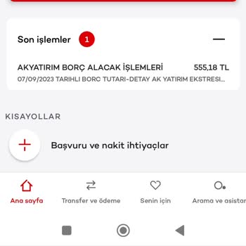 Ak Yatırım Akbank Yatırım Borç Yapılmış