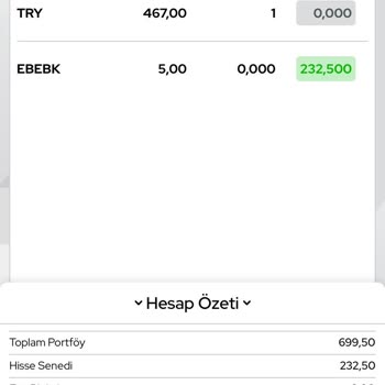 Ziraat Yatırım Halka Arz Hisse İptali
