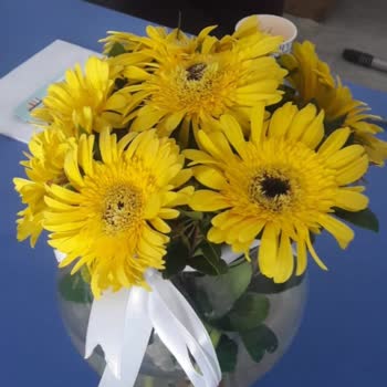 Çiçek Sepeti Firmasından Şikayetçiyim