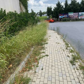 Avcılar Belediyesi Hizmet Sunmuyor Ispartakule Bölgesine