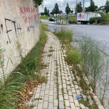 Avcılar Belediyesi Hizmet Sunmuyor Ispartakule Bölgesine