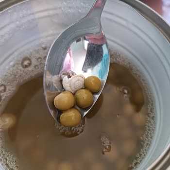 Bizim Vatan Konserve Salyangoz 🐌