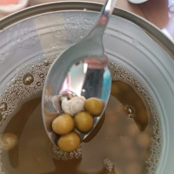 Bizim Vatan Konserve Salyangoz 🐌