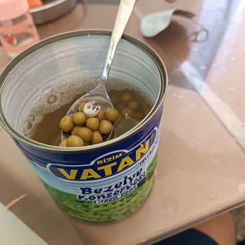 Bizim Vatan Konserve Salyangoz 🐌