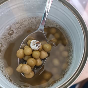 Bizim Vatan Konserve Salyangoz 🐌