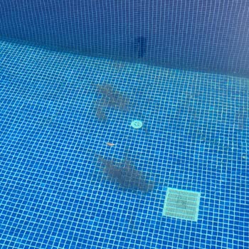 Yazvillalari.com Temizlik Sorunu