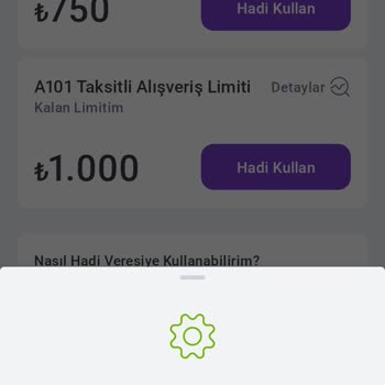 A101 Hadi Veresiye Kullanılmıyor