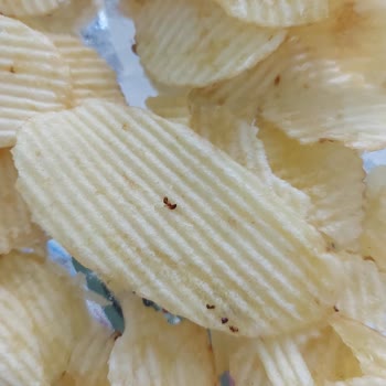 Ruffles Marka Cips İçerisinde Ölü Karınca Çıktı