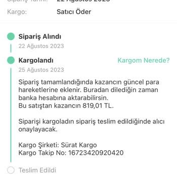 Sürat Kargo Kargomu Kaybetti Günlerdir Transfer Sürecinde Görünüyor