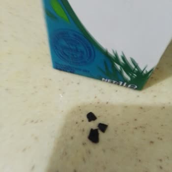 Torku Sütün İçinde Yabancı Madde Çıkması