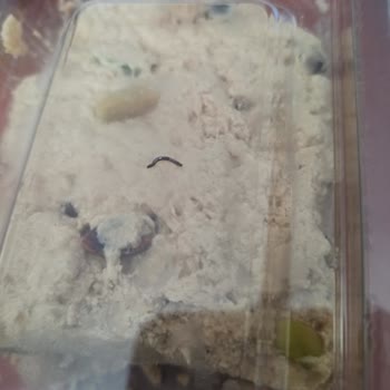 Migros'tan Aldığım M Fıstıklı Helvada Metal Parçası Çıktı