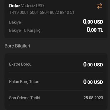 VakıfBank Kredi Kartı USD Borcu