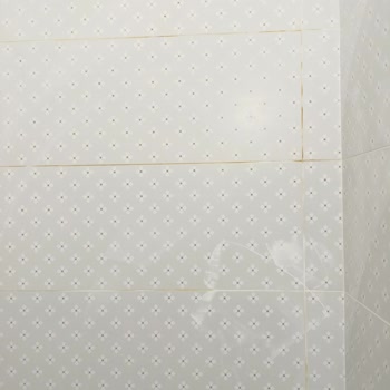Yurtbay Seramik Tuvalet Banyo Ege Seramik İle Fayans Değişikliğinde Derz Sararması