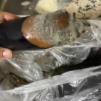 Bosch Markasının Çözemediği Arıza!