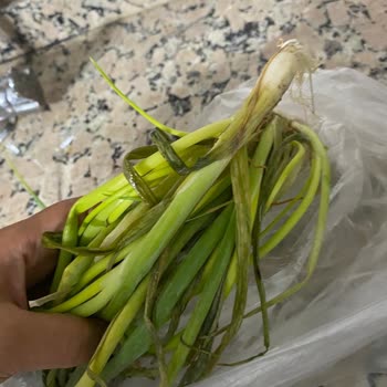 Bosch Markasının Çözemediği Arıza!