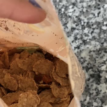 Nestle Gevreğinde Böcek Çıktı