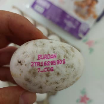 Migros Küflü Ve Bozuk Yumurta