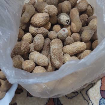 Migros Sanal Marketten Alınan Yer Fıstığı
