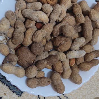Migros Sanal Marketten Alınan Yer Fıstığı
