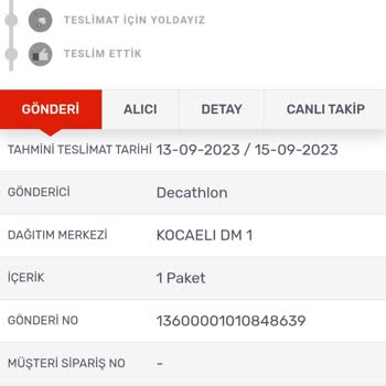 Decathlon Online Delivery Problem