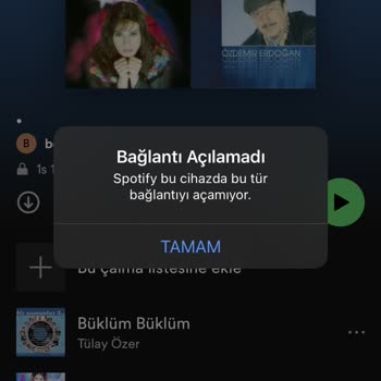 Spotify'de Listeme Şarkı Ekleyemiyorum