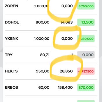 Ziraat Yatırım ZBorsa Portföy Hataları