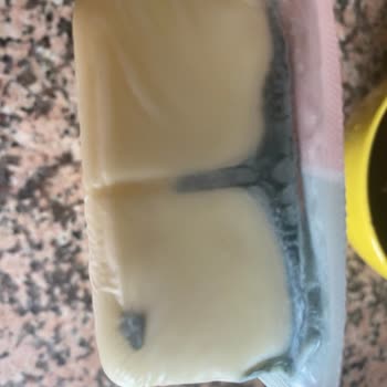 Tahsildaroğlu Peynir Küflenmesi Sorunu