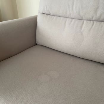 Enza Home Koltuk Kumaş Lekesi