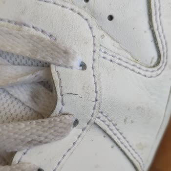 In Street' Ten Şikayetçiyim