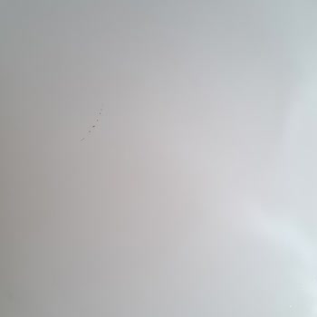 Kelebek Mobilya 3 Ay Sonra 2. El Seviyesinde Ürün Göndermeleri Ve Yine Mağdur Olmamız