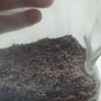 Jacobs Son Kullanma Tarihi Geçmiş Kahve