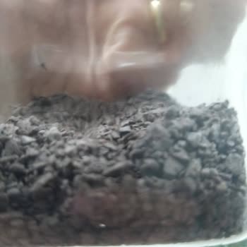 Jacobs Son Kullanma Tarihi Geçmiş Kahve