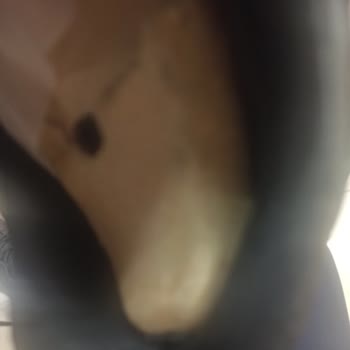 Skechers Marka Ayakkabı Hayal Kırıklığı.