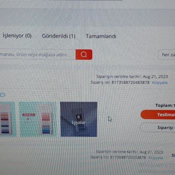 Sinotrans Makzume Lojistik Ürünlerime El Koydu