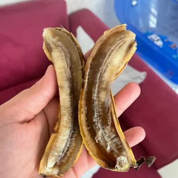 Fix Gross Çürük Ürünler
