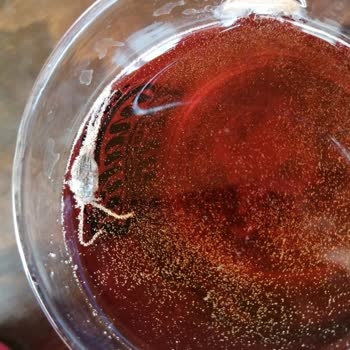 Çaykur Didi İçecek İçerisinde Yabancı Madde Çıktı.