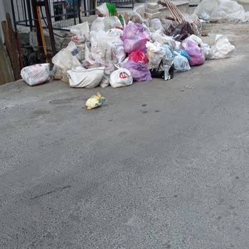 İBB - İstanbul Büyükşehir Belediyesi Çöp Konteyneri Eksikliği