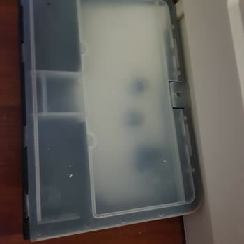 Biosin İlaçlama & Dezenfeksiyon Fare İlaçlama Yapıldı