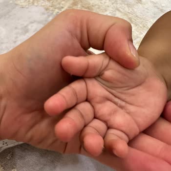 Merinos'un Halısından Nefret Geldi Ya