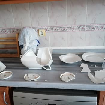 Cumhuriyet Nakliyat (Adana) Taşınma Sırasında Zararın Giderilmemesi