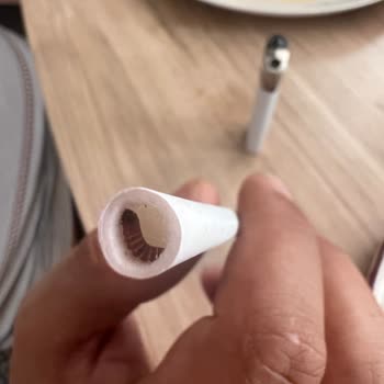 Philip Morris Sigara Üzerinde Kurt Vardı