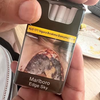 Philip Morris Sigara Üzerinde Kurt Vardı