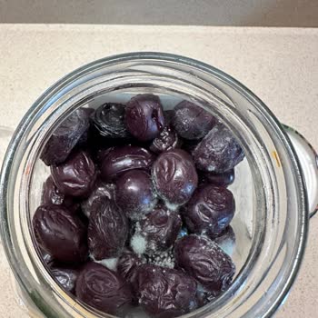 MarmaraBirlik Trilye Zeytin Küflenmiş