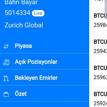 Zurich Global Yatırım Şirketi İle İlgili Sorunlarım