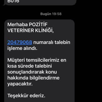 Sendeo Kargoyu Teslim Etmiyor