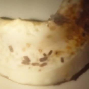 Çerezya Soslu Kajudan Çıkan Kurt Larvaları