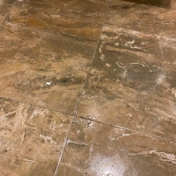 Loxia Comfort Club Side Tam Bir Hayal Kırıklığı Oldu!