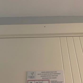 Loxia Comfort Club Side Tam Bir Hayal Kırıklığı Oldu!