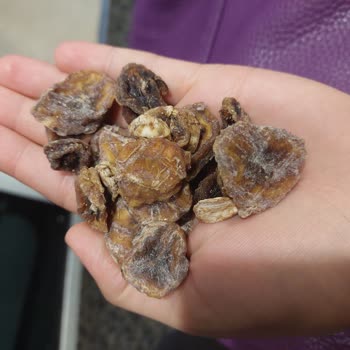 Afro Turco Foods Küflü Muz Kurusu