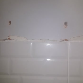 Luxell Servis Ve Firmanın Düşen Davlumbazla İlgilenmemesi